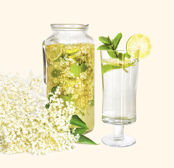 HolunderLikör mit Pott Rum